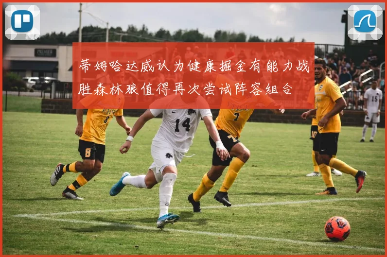 蒂姆哈达威认为健康掘金有能力战胜森林狼值得再次尝试阵容组合