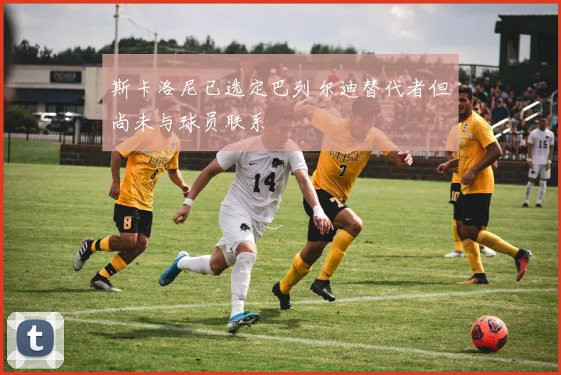 斯卡洛尼已选定巴列尔迪替代者但尚未与球员联系