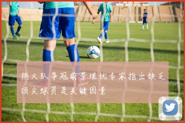 热火队争冠前景堪忧专家指出缺乏顶尖球员是关键因素